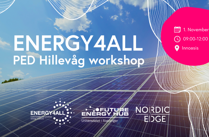 ENERGY4ALL PED Hillevåg workshop